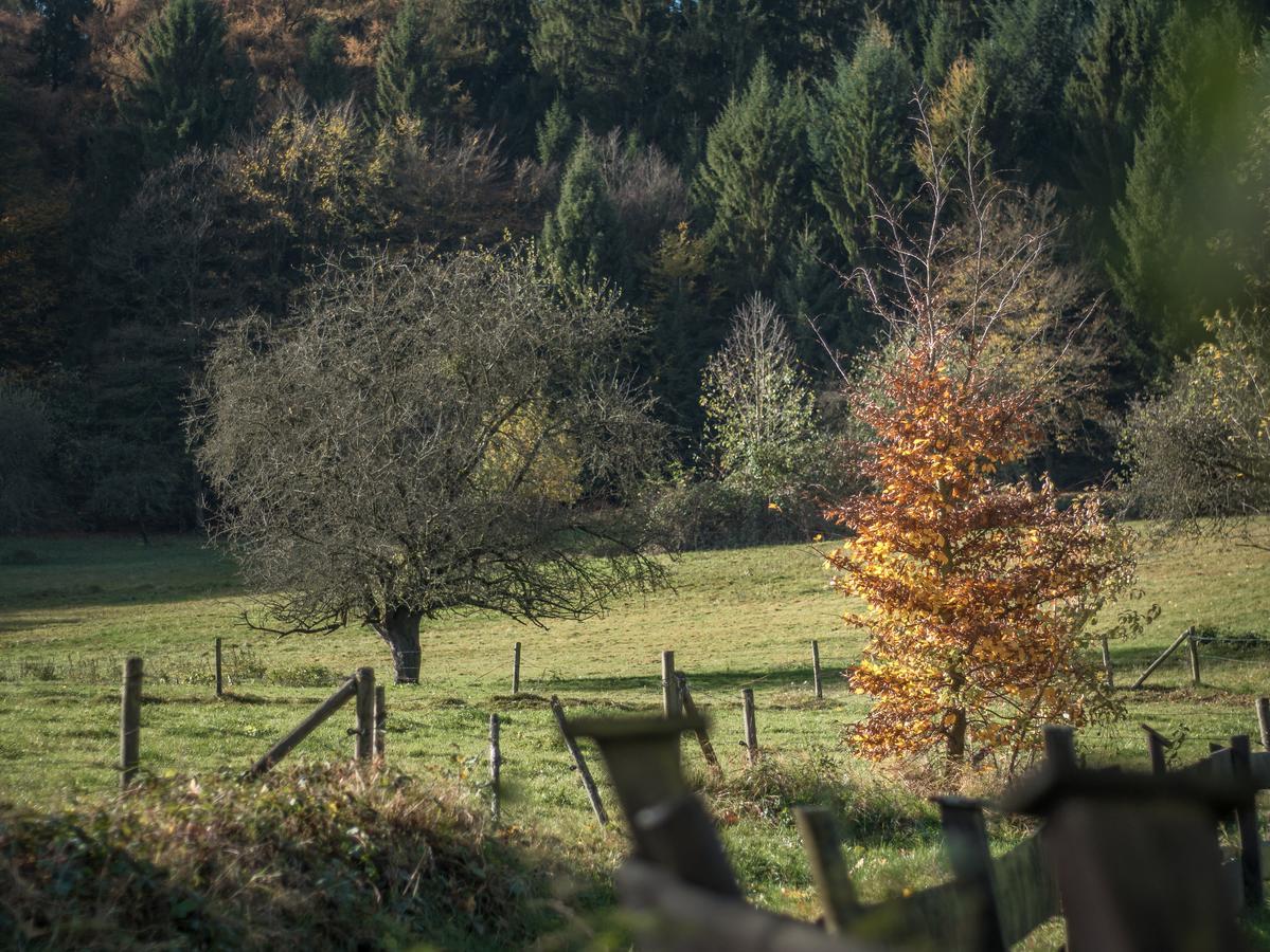 Natur & Wander Hotel Gassbachtal Grasellenbach Exterior photo