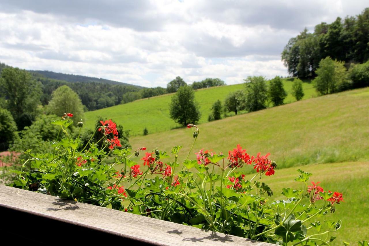 Natur & Wander Hotel Gassbachtal Grasellenbach Exterior photo